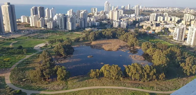 נתניה